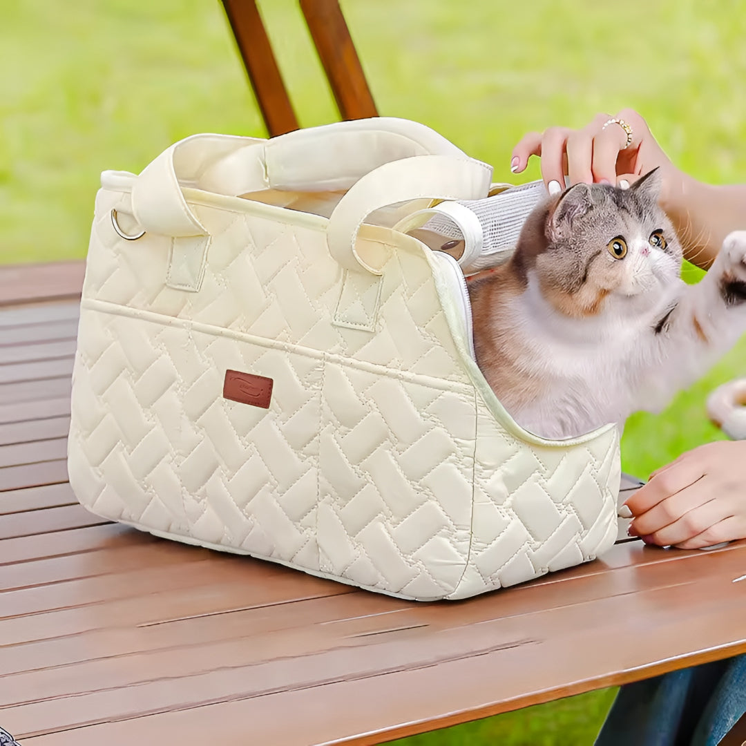 Travel Tips With Safe Pet Carriers